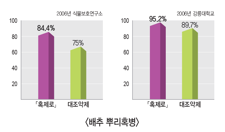 혹제로 방제효과.PNG