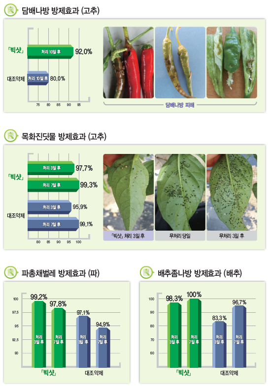 빅샷 입상수화제 방제효과.PNG