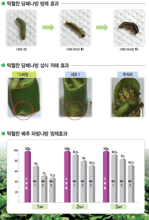 스파링 입상수화제 방제효과.PNG