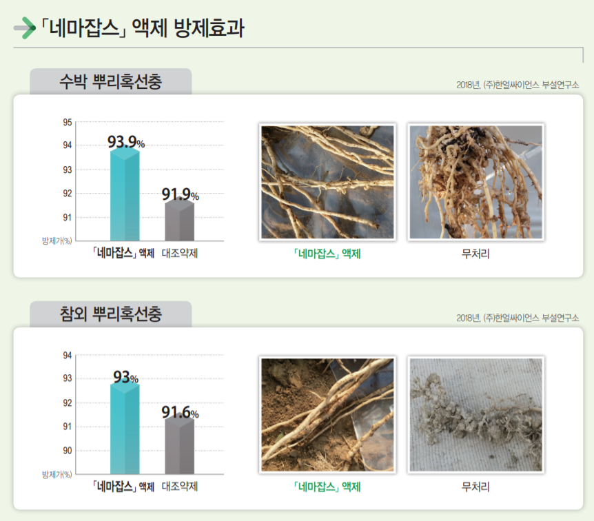 네마잡스실험데이터.png